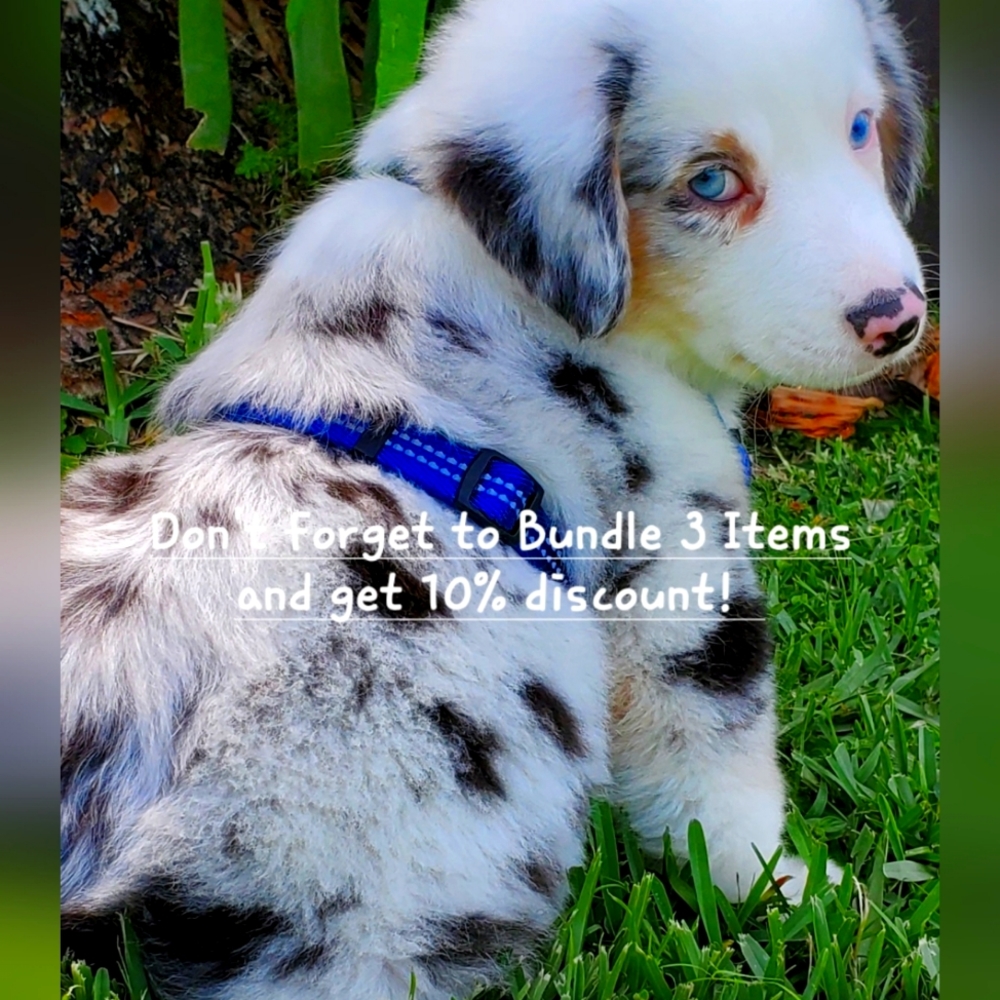 Bundle Items discount